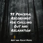 35 Peaceful Recordings for Chilling Out and Relaxation