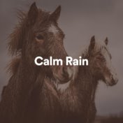 Calm Rain