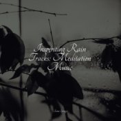 Inspiriting Rain Tracks: Meditation Music