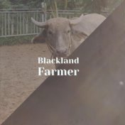 Blackland Farmer