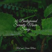 30 Background Serenity Music Songs