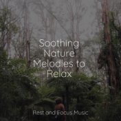 Soothing Nature Melodies to Relax