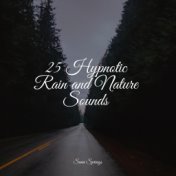 25 Hypnotic Rain and Nature Sounds