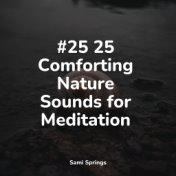#25 25 Comforting Nature Sounds for Meditation