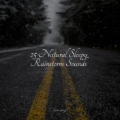 25 Natural Sleepy Rainstorm Sounds