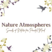 Nature Atmospheres: Sounds of Nature for Peaceful Mind