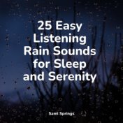 25 Easy Listening Rain Sounds for Sleep and Serenity