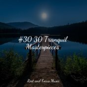 #30 30 Tranquil Masterpieces