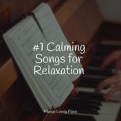 #1 Calming Songs for Relaxation