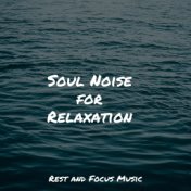 Soul Noise for Relaxation