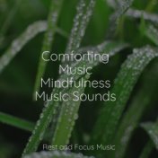 Comforting Music Mindfulness Music Sounds