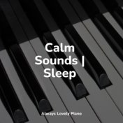 Calm Sounds | Sleep