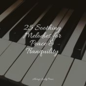 25 Soothing Melodies for Peace & Tranquility