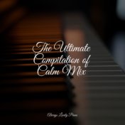 The Ultimate Compilation of Calm Mix