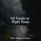 40 Tracks to Night Focus