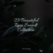 25 Beautiful Rain Sounds Collection