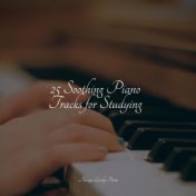 25 Soothing Piano Tracks for Studying