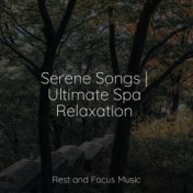 Serene Songs | Ultimate Spa Relaxation