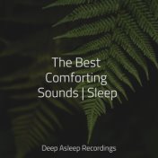 The Best Comforting Sounds | Sleep