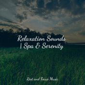 Relaxation Sounds | Spa & Serenity