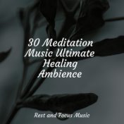 30 Meditation Music Ultimate Healing Ambience