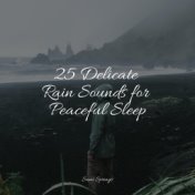 25 Delicate Rain Sounds for Peaceful Sleep