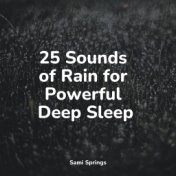 25 Sounds of Rain for Powerful Deep Sleep