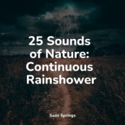 25 Sounds of Nature: Continuous Rainshower