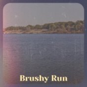 Brushy Run