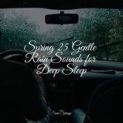 Spring 25 Gentle Rain Sounds for Deep Sleep