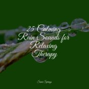 25 Calming Rain Sounds for Relaxing Therapy