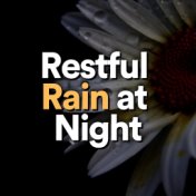 Restful Rain at Night