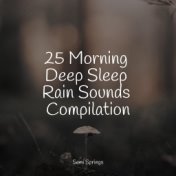 25 Morning Deep Sleep Rain Sounds Compilation