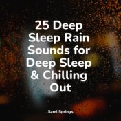25 Deep Sleep Rain Sounds for Deep Sleep & Chilling Out