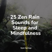 25 Zen Rain Sounds for Sleep and Mindfulness