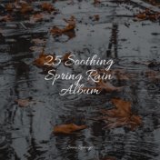 25 Soothing Spring Rain Album