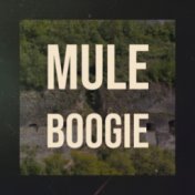Mule Boogie