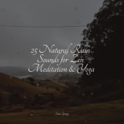 25 Natural Rain Sounds for Zen Meditation & Yoga