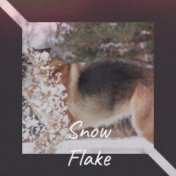 Snow Flake