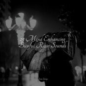 25 Mind Enhancing Blissful Rain Sounds