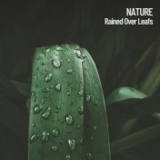 Nature: Rained Over Leafs