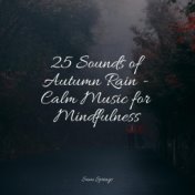 25 Sounds of Autumn Rain - Calm Music for Mindfulness