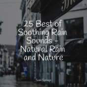 25 Best of Soothing Rain Sounds - Natural Rain and Nature