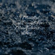 25 Mindful Rain Sounds for Mindfulness Sleep