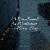 25 Rain Sounds for Meditation and Deep Sleep