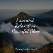 Essential Relaxation Powerful Sleep