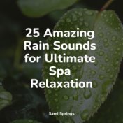 25 Amazing Rain Sounds for Ultimate Spa Relaxation