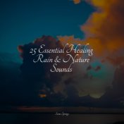 25 Essential Healing Rain & Nature Sounds