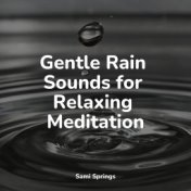 Gentle Rain Sounds for Relaxing Meditation