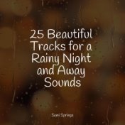 25 Beautiful Tracks for a Rainy Night and Away Sounds